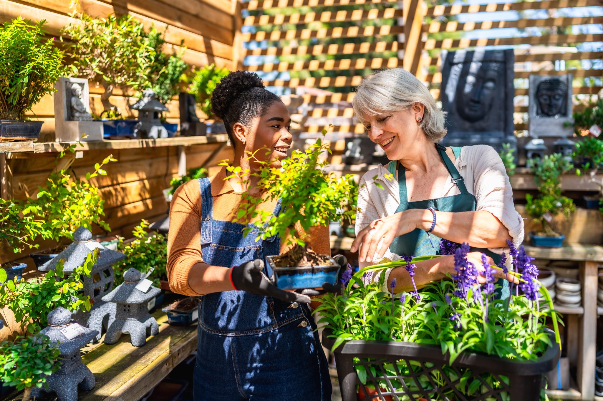 garden-center-workers-discussing-about-bonsai-tree-2025-06-16-20-47-58-utc